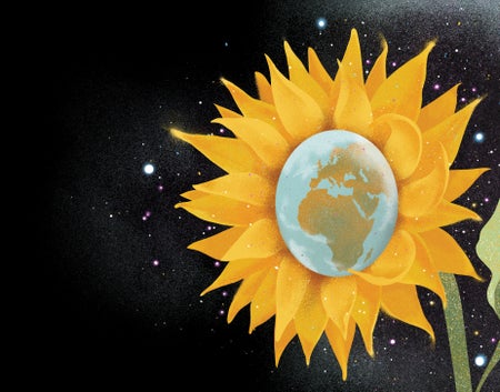 Sunflower with earth in the center of the flower