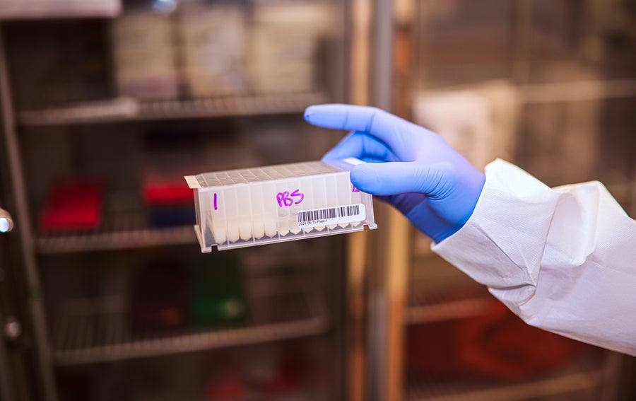 A gloved hand holds up a tray of vials filled with a white liquid