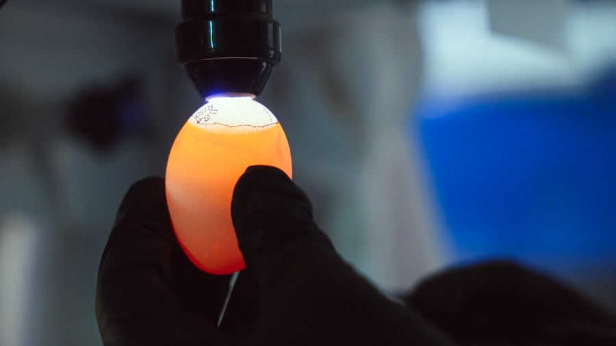 A hand covered in a black glove lifts a chicken egg up to a light illuminating the egg's inside contents with an orange glow inside a science laboratory