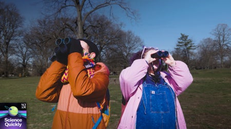 Two people stand with binoculars up looking into the distance in a park