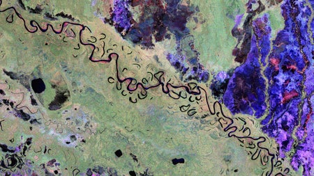 A Biomass satellite image of the Bolivian rainforest: mostly green with a meandering river running through diagonally and spots of pink and deep purple
