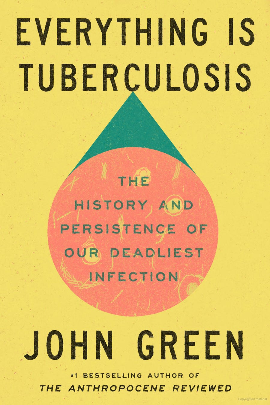 Book cover for Everything Is Tuberculosis by John Green