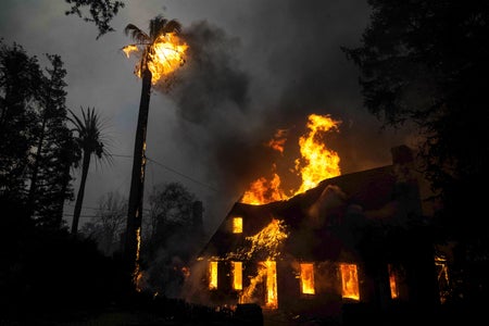 A home and palm tree standing tall above on Mariposa Street both in Altadena engulfed in flames on Wednesday, January 8, 2025 during the Eaton fire
