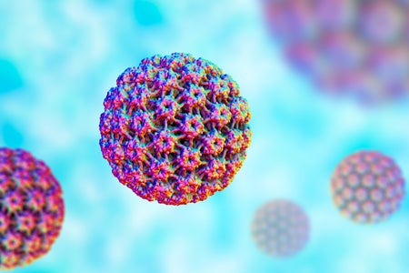 Human papilloma virus (HPV), computer illustration.