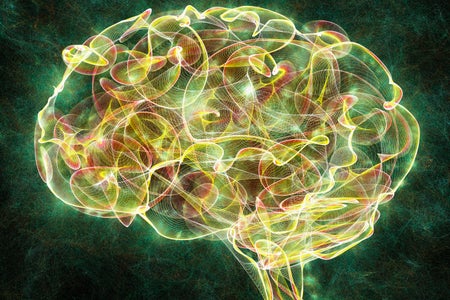 Glowing 3D brain with colorful, looping pathways illuminated