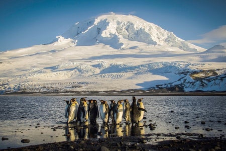 Volcano with penguins in foreground