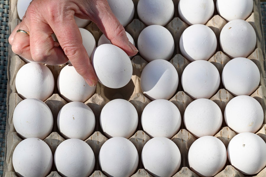 A hand removes an egg from a pack.