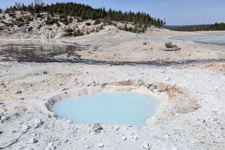View looking northwest at a new thermal pool in the Porcelain Basin area of Norris Geyser Basin, Yellowstone National Park, that probably formed in a series of mildly explosive events between late December 2024 and early February 2025.