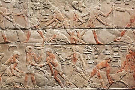 A limestone relief from the Old Kingdom of Ancient Egypt depicting a cattle-butchering scene