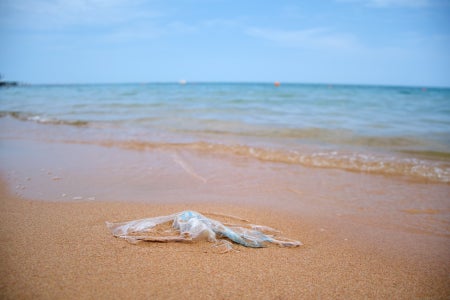 Left behind plastic bag garbage on sandy beach