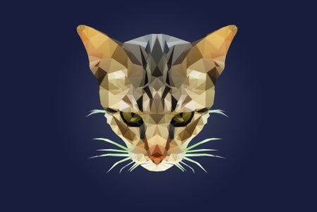 IIllustrated polygonal cat looking at viewer