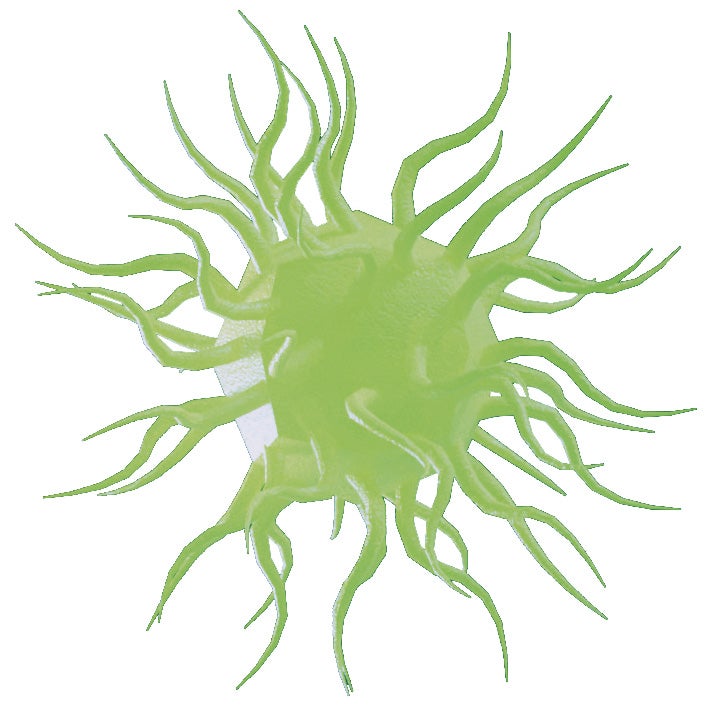 Green virus illustration