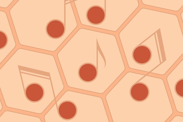 illustration of cells with notes as a nucleus