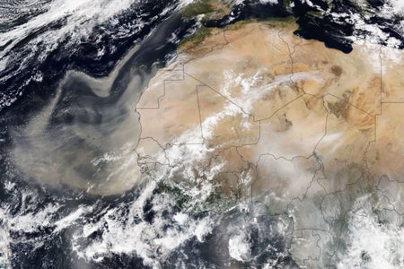 Satellite view of Saharan dust heading for Atlantic Ocean