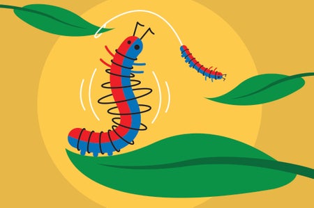 Illustration of vibrating caterpillars catapulting off of leaves