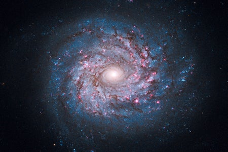 This face-on spiral galaxy, called NGC 3982, is striking for its rich tapestry of star birth, along with its winding arms. The arms are lined with pink star-forming regions of glowing hydrogen, newborn blue star clusters, and obscuring dust lanes that provide the raw material for future generations of stars. The bright nucleus is home to an older population of stars, which grow ever more densely packed toward the center