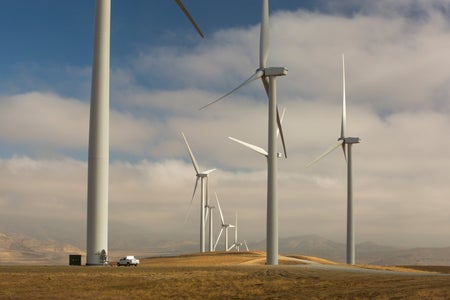 Part of the Tehachapi Pass wind farm in California