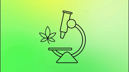 Scientific American Logo