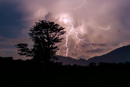 Lightning striking the ground behind some hills, with a tall tree in the foreground, during a thunderstorm at night in rural Guatemala