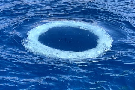 Still image from bubble ring event video of an individual humpback whale known as Kараул/Watchtower in 2020, Lahaina, Maui, HI. A bubble ring is seen from a boat just as it has risen to the surface of the water