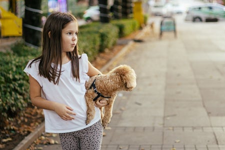 Cute young girl carrying her maltipoo dog in public park