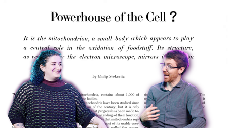 A photo collage of man and a woman sit across from each other in front of a large printed page that reads "Powerhouse of the Cell?" written at the top of it.